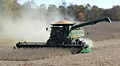 Agriculture Industry Harvester